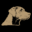 Old Guard Pet Co Icon