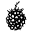 Blackberry vine Icon