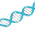 Paradigm Peptides Icon