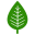 Canada Kratom Store Icon