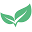 Plant Juice Oils Icon