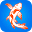 Koi Fish USA Icon