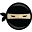 Code Ninjas Icon