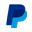 PayPal Digital Wallet Icon